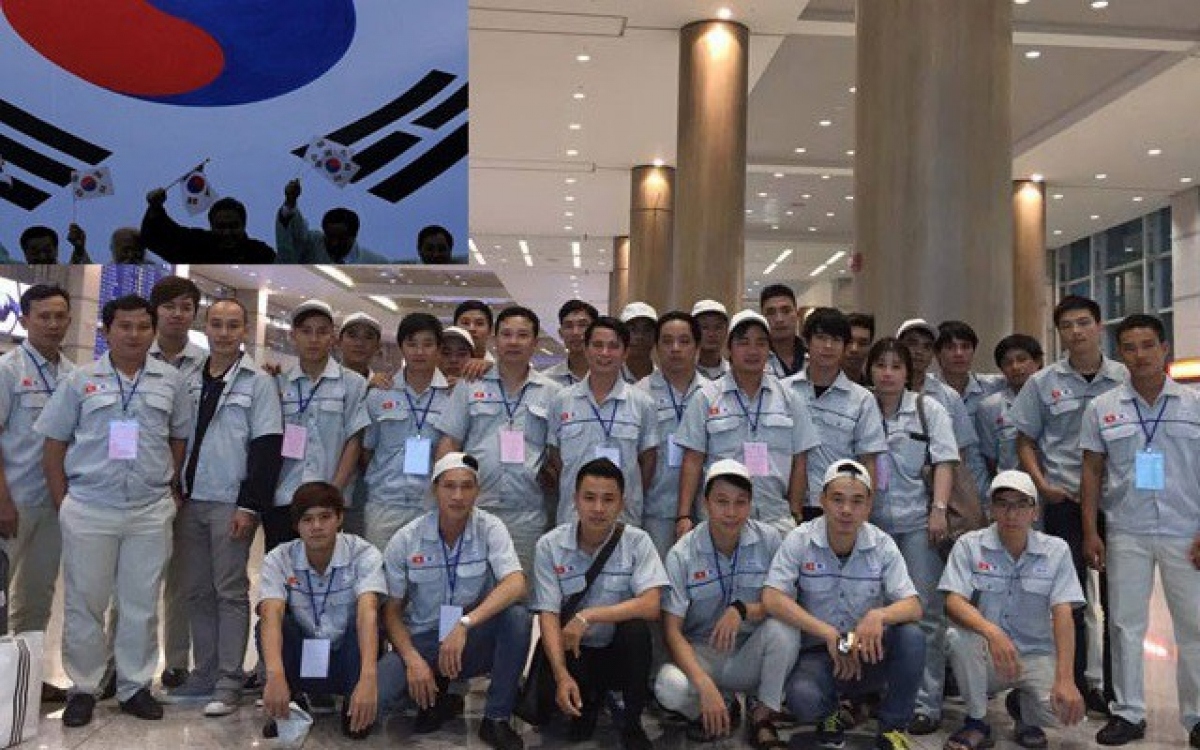 Vietnamese workers earn plaudits from RoK employers